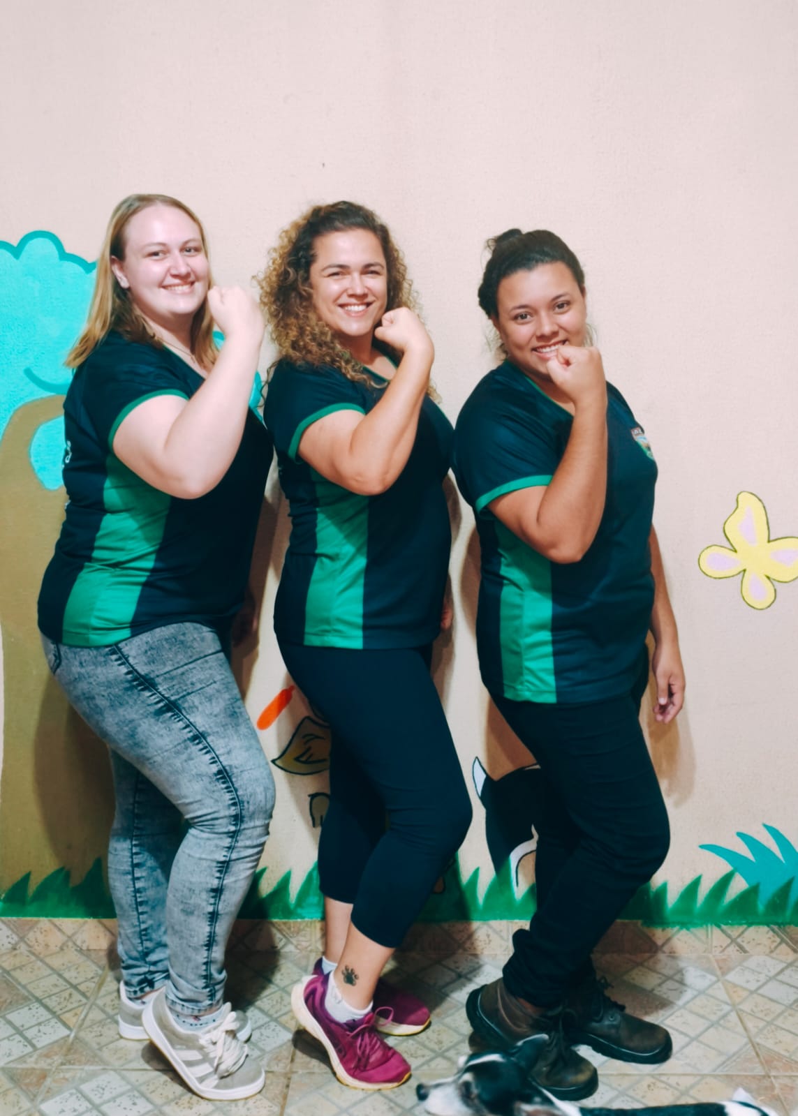 hotelzinho do condado pet hotel